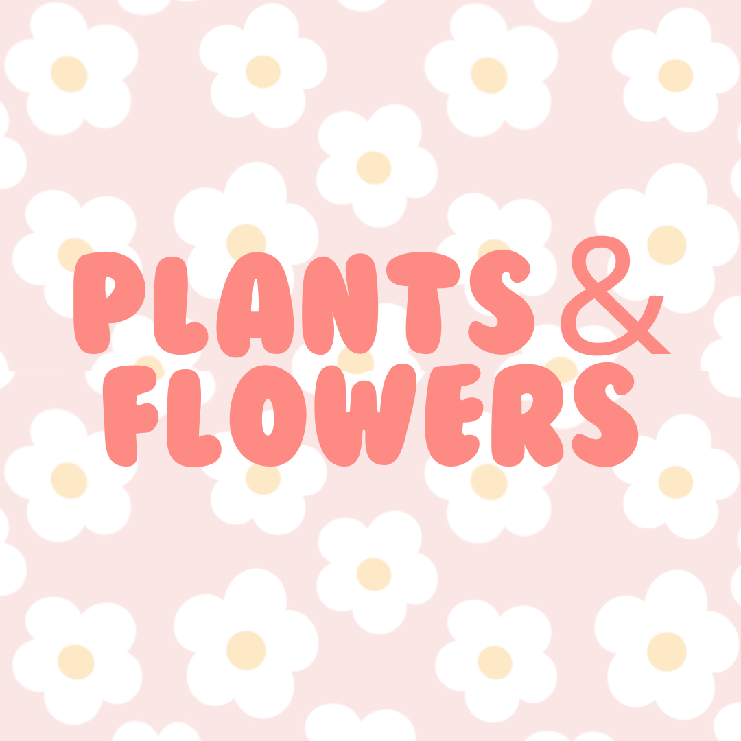 Plants & Flowers