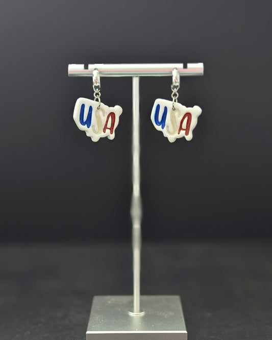 USA | Polymer Clay Earrings